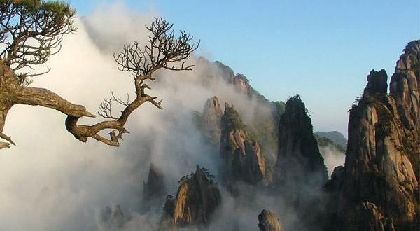  【醉江南】华东五市+木渎、南浔双飞六日游 