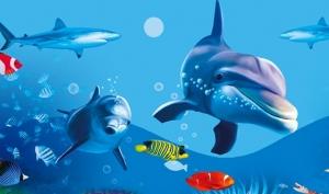 印象澳凯【西安直飞】 澳大利亚深度游（双大堡礁 三乐园 直升机 大洋路）10日跟团游★★★★★